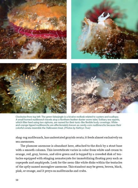 Mountaineers Books Gifts Seattle Field Guide