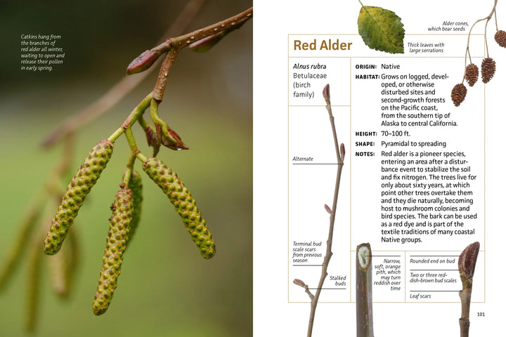Mountaineers Books Gifts Winter Twigs of the Pacific Northwest