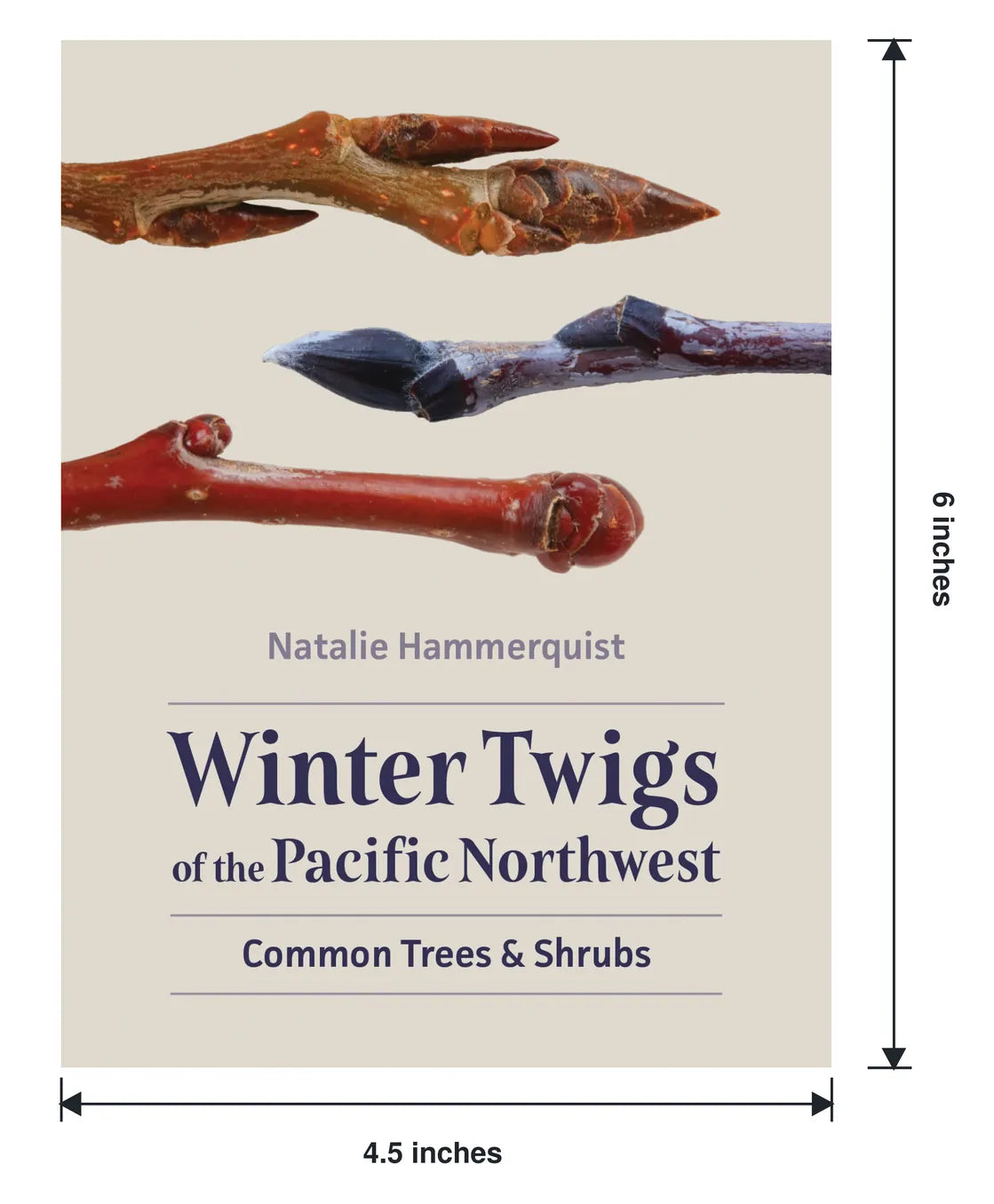 Mountaineers Books Gifts Winter Twigs of the Pacific Northwest