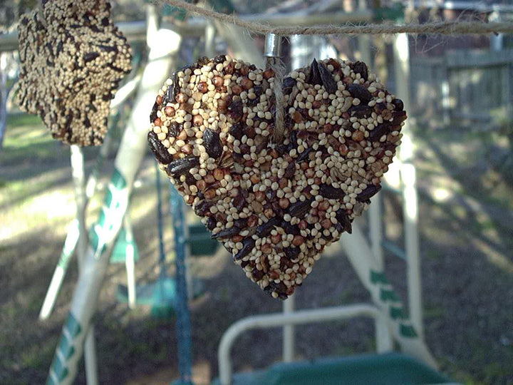 Mr. Bird Garden Little Heart Hanging Bird Seed