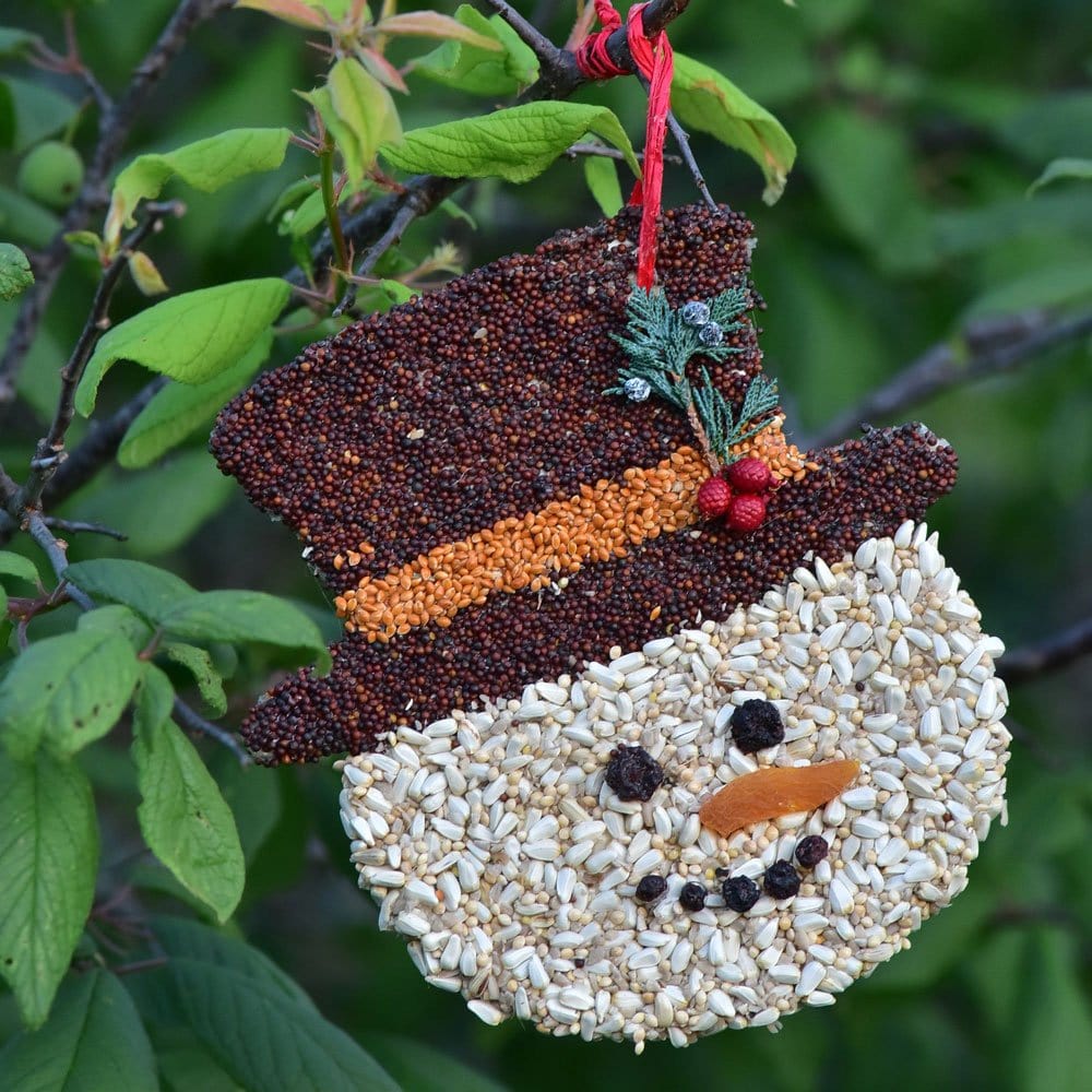 Mr. Bird Gifts Snowman Christmas Cookie Bird Seed Ornaments