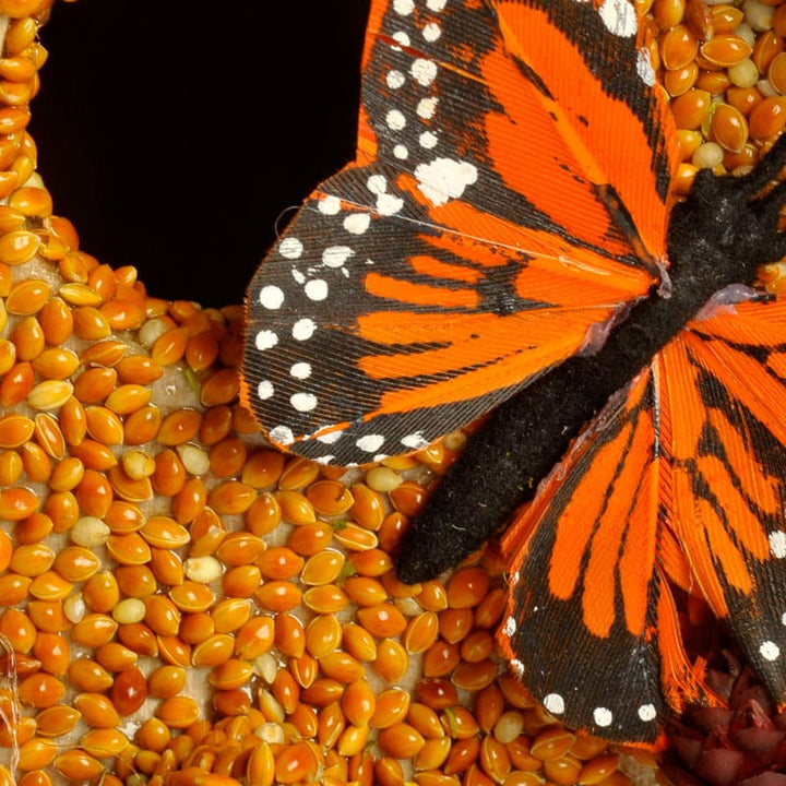 Mr. Bird Home Birdie Cottage All Season | Bird Seed Houses