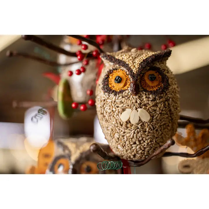 Mr. Bird Home Whoo-Lio Owl | Bird Seed