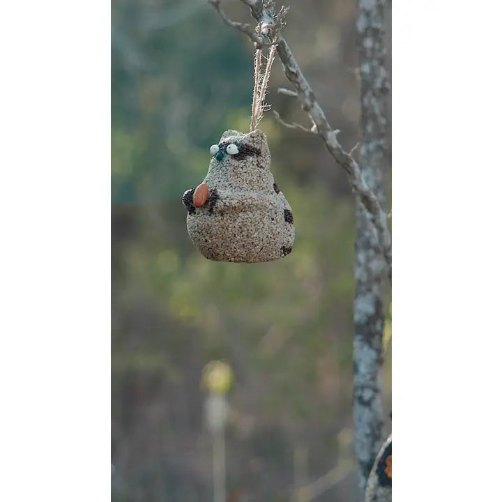 Mr. Bird Home Woodland Friends - Raccoon | Bird Seed