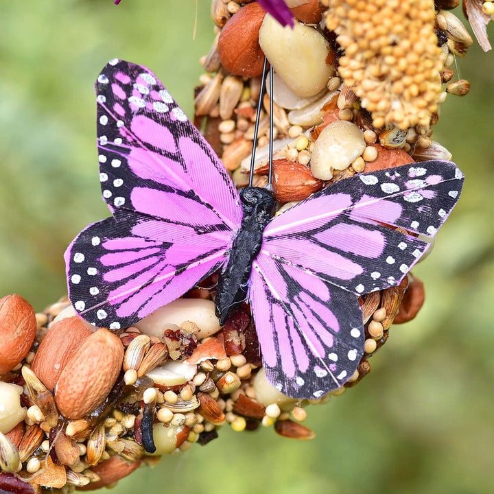 Mr. Bird Home Wreath Tweet Bird Seed Wreath - 6"