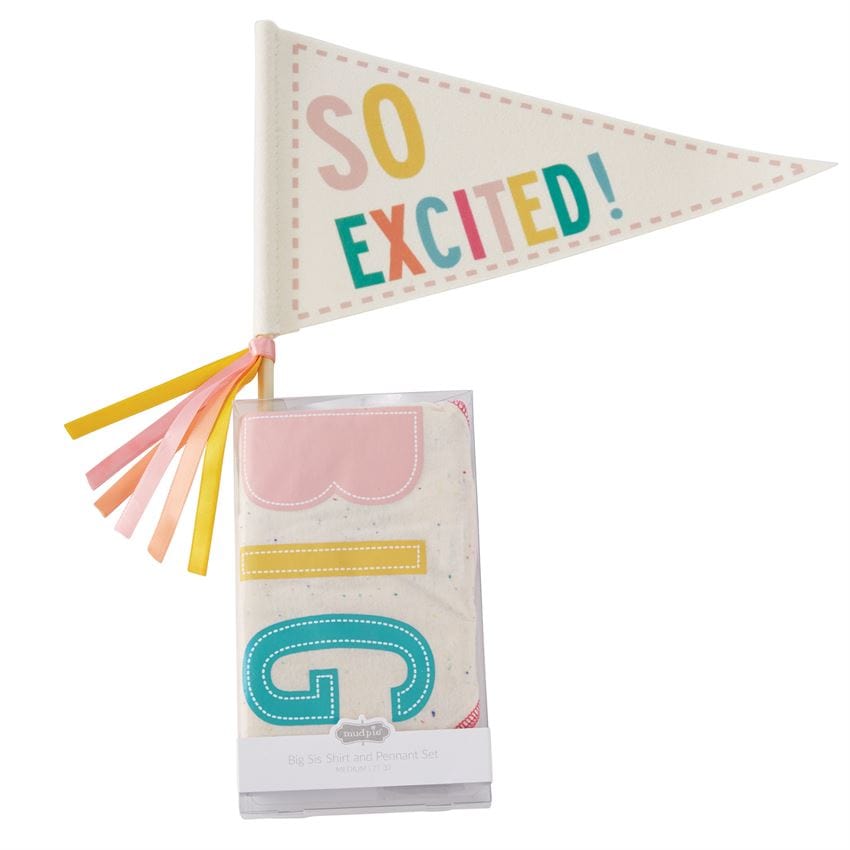 Mud Pie Clothing Big Sis Shirt & Pennant Set