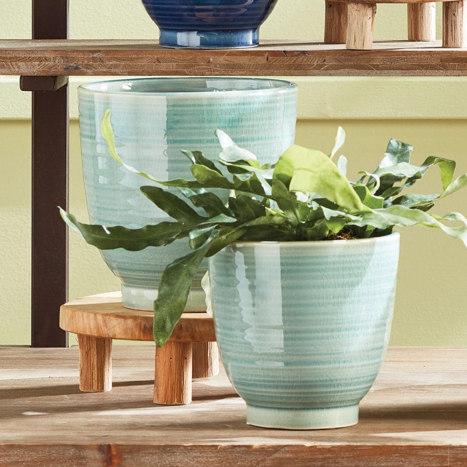 Napa Home & Garden Pots & Planters Aubrey Pots, Green