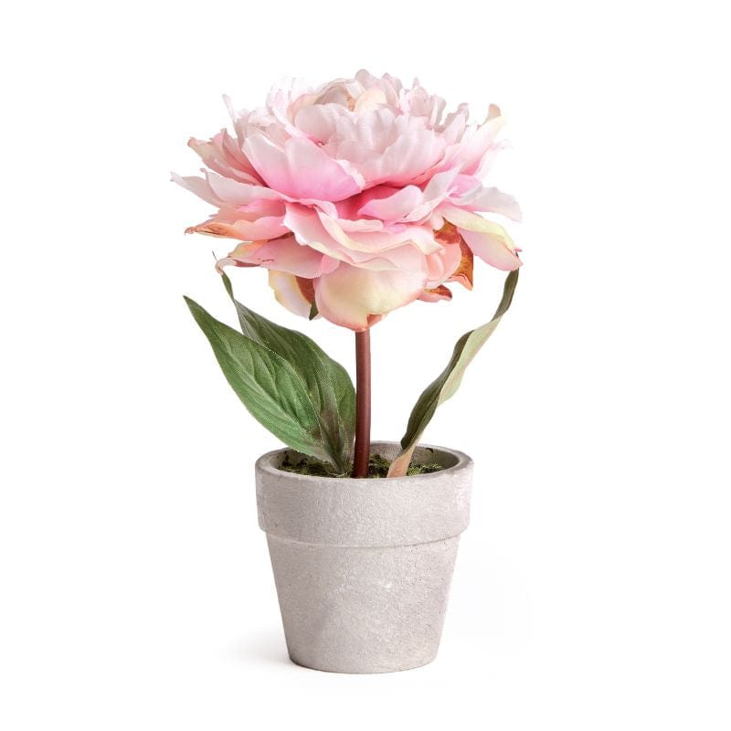 Napa Home & Garden Pots & Planters Mini Peony Potted 6.5" Light Pink