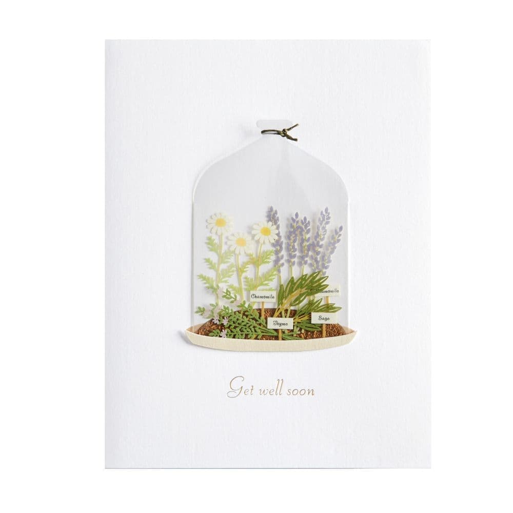 Niquea.D Card Botanical Elegance Get Well Card