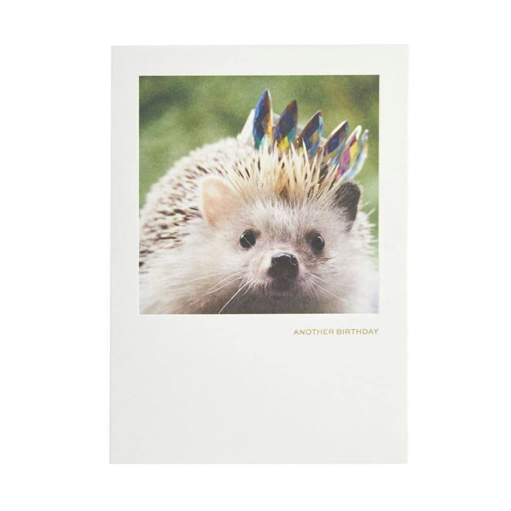 Niquea.D Card Hedgehog With Crown Card