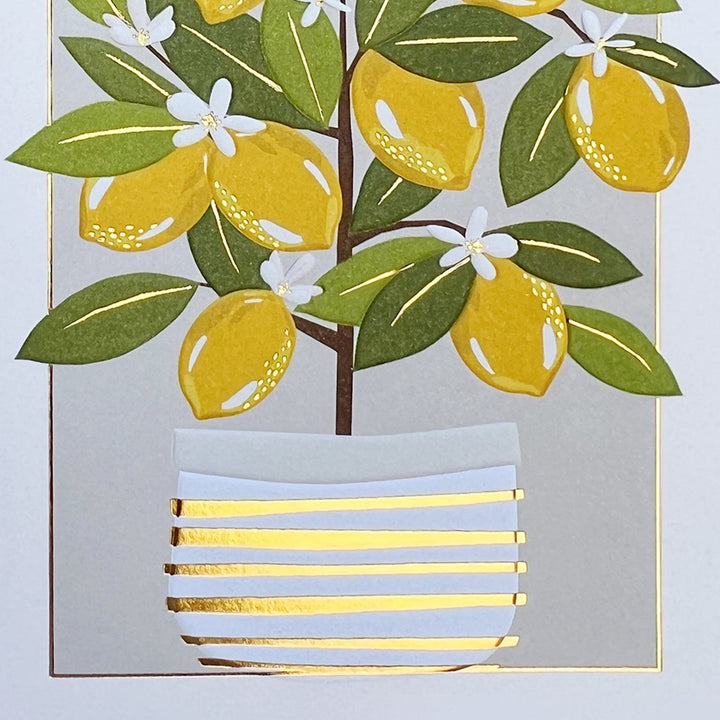 Niquea.D Cards Lemon Tree Birthday Card