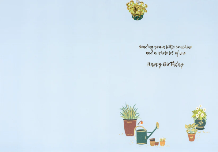 Niquea.D Cards Potting Shed Birthday Card