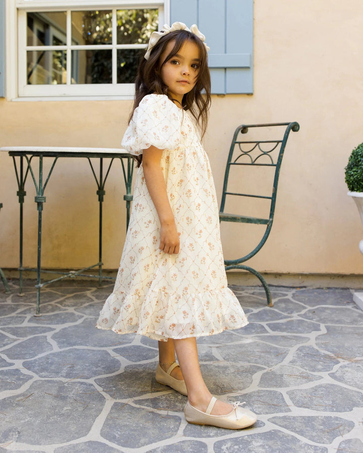 Noralee Baby Augusta Dress - Victorian Flora