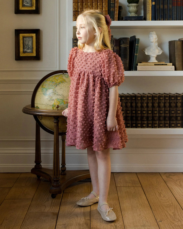 Noralee Baby Luna Dress - Raspberry