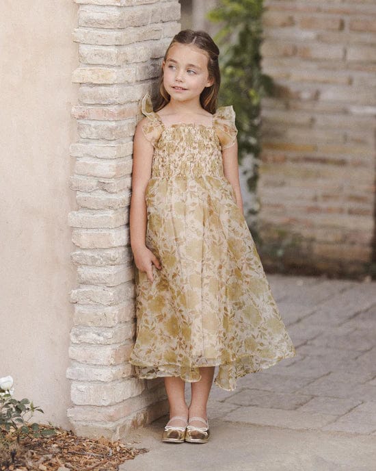 Noralee Baby & Toddler Dresses Dolly Dress - Golden Garden