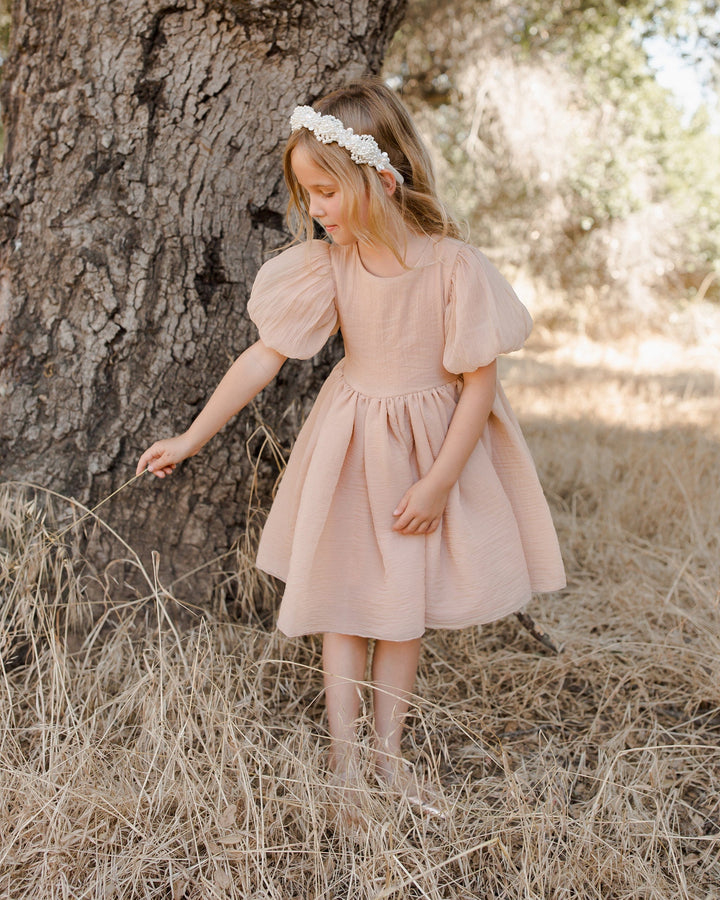 Noralee Baby & Toddler Dresses Sofia Dress - Blush