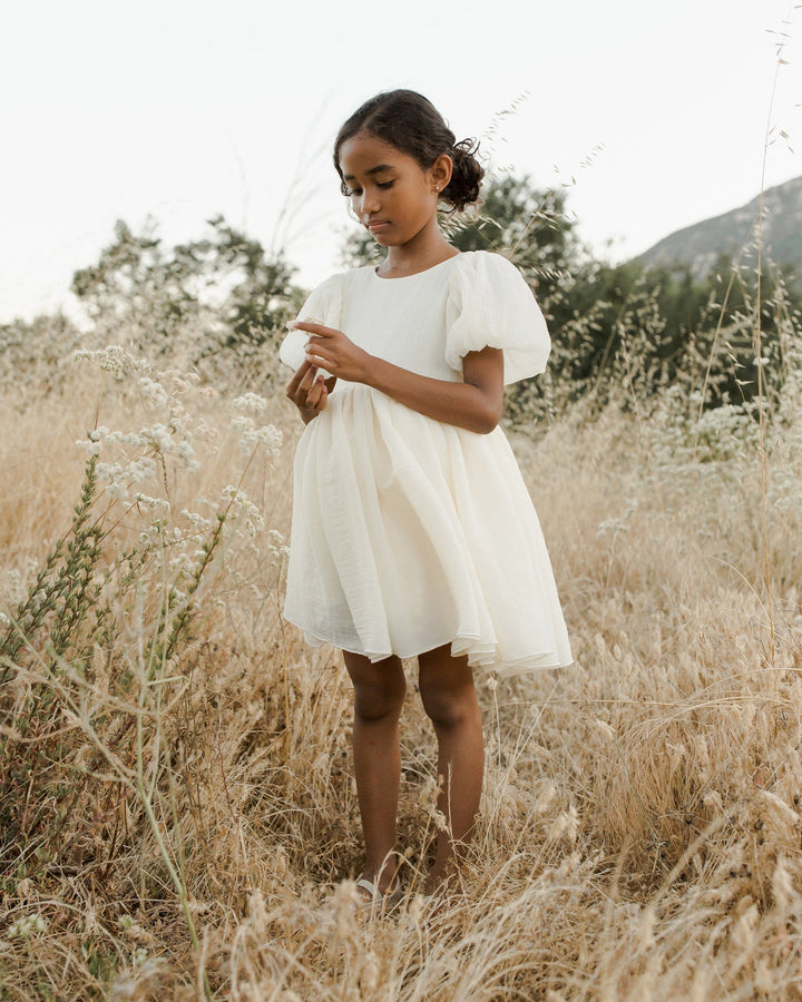 Noralee Baby & Toddler Dresses Sofia Dress - Ivory