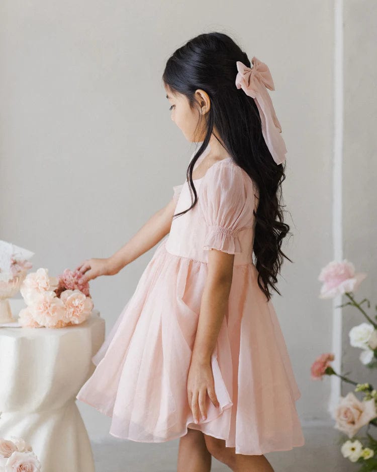 Noralee Baby & Toddler Dresses Valentine Dress - Bubblegum