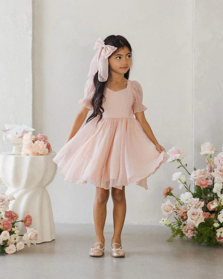 Noralee Baby & Toddler Dresses Valentine Dress - Bubblegum