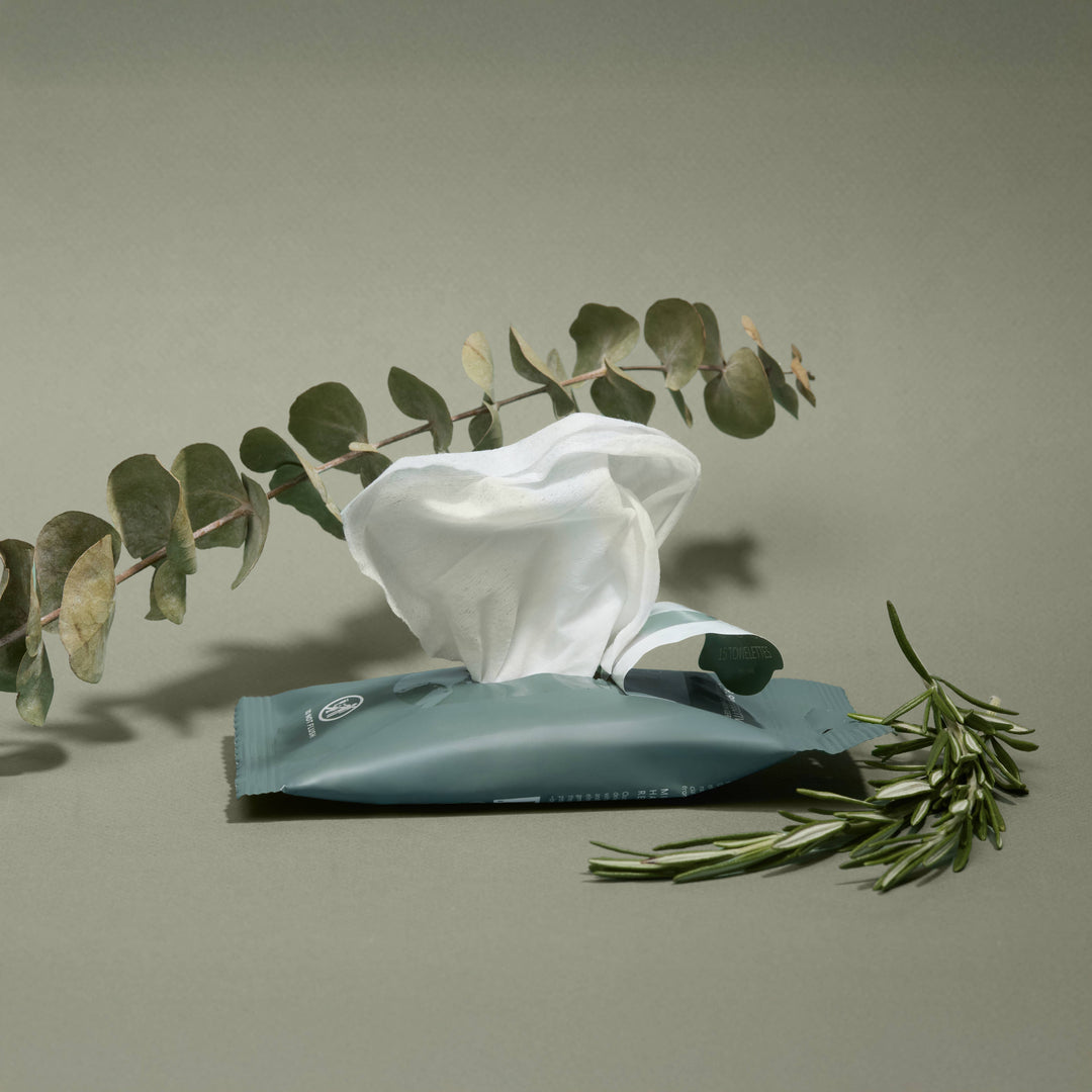 Noshinku Gifts Eucalyptus Nourishing Hand Sanitizing Travel Wipes