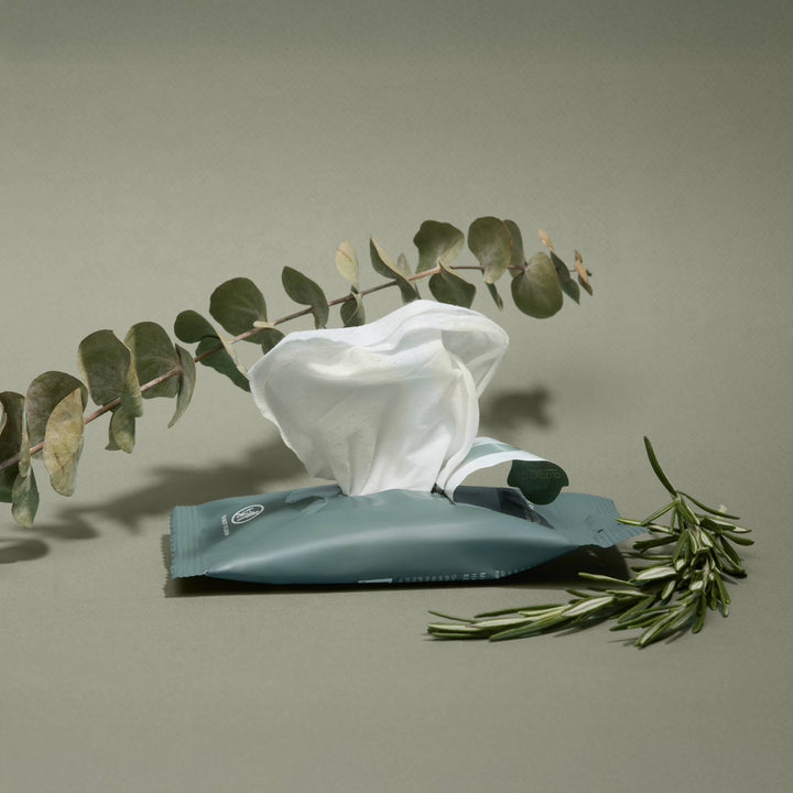 Noshinku Gifts Eucalyptus Nourishing Hand Sanitizing Travel Wipes