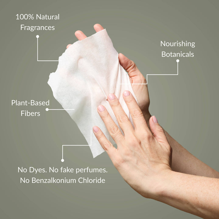 Noshinku Gifts Eucalyptus Nourishing Hand Sanitizing Travel Wipes