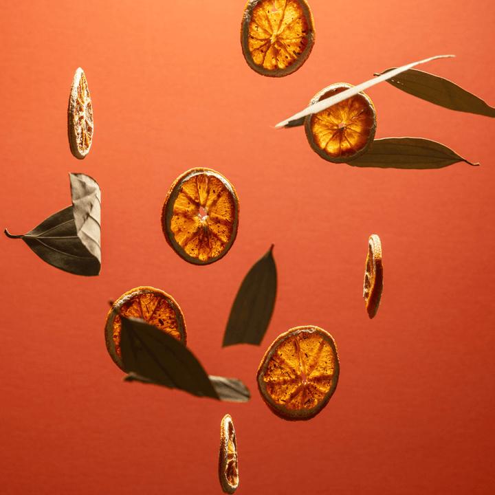 Noshinku Gifts Orange Coriander Moisturizing Sanitizer Mini Refill Pouch