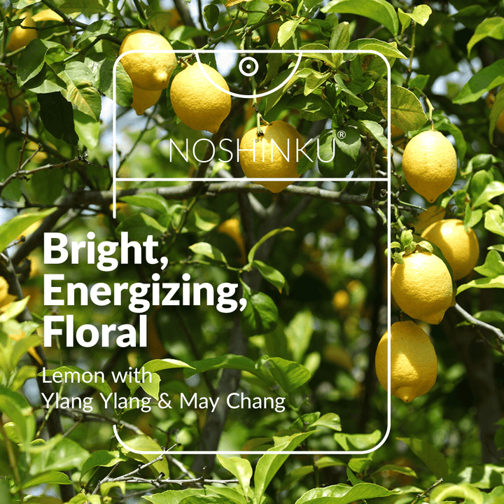 Noshinku Gifts Refillable Lemon Ylang-Ylang Moisturizing Pocket Sanitizer