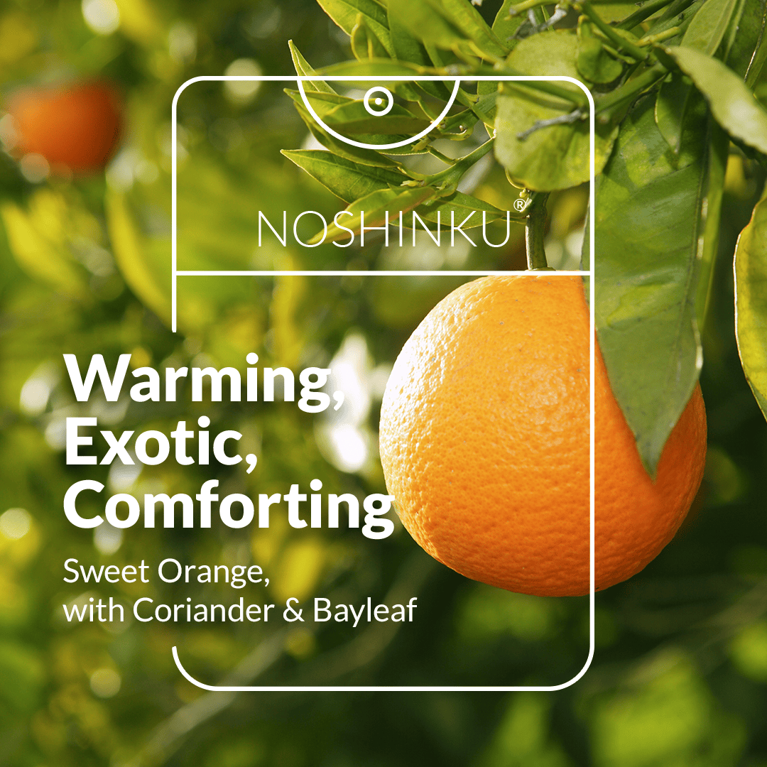 Noshinku Gifts Refillable Orange Coriander Moisturizing Pocket Hand Sanitizer