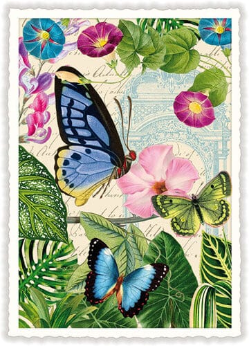 Notes & Queries Cards Butterfly Flowers Blank Postcard