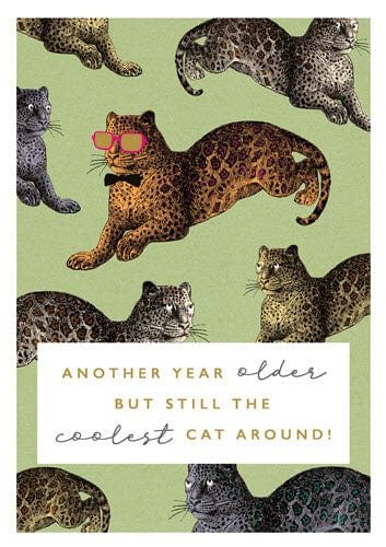 Notes & Queries Cards Coolest Cat Birthday Greeting Card