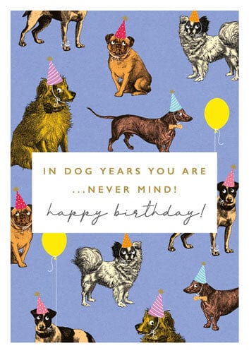 Notes & Queries Cards Dog Years Birthday Greeting Card