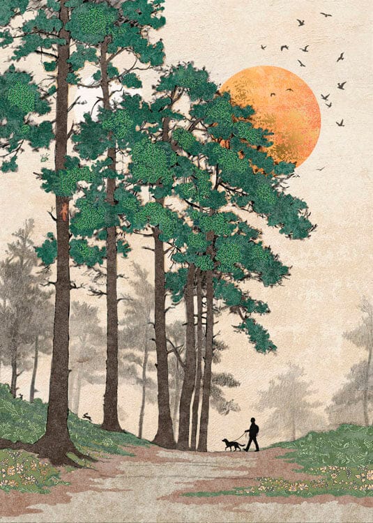 Notes & Queries Cards Forest Walk Blank Greeting Card