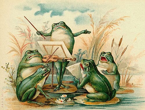 Notes & Queries Cards Frog Chorus Blank Greeting Card