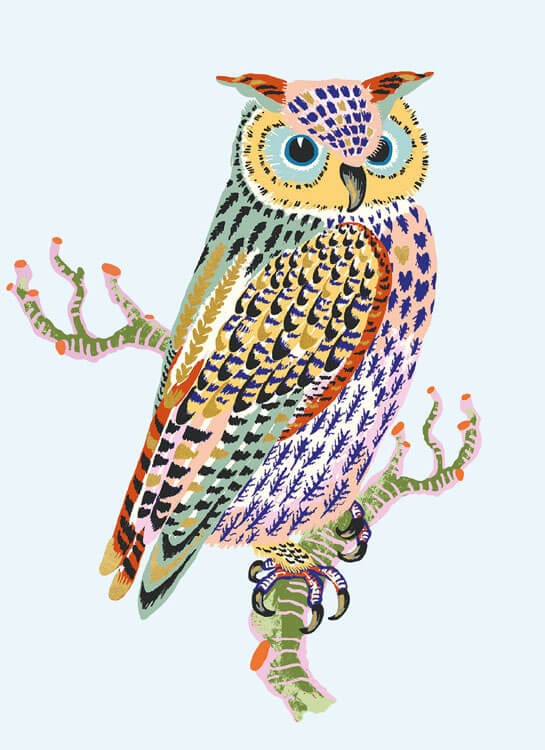 Notes & Queries Cards Owl and Branch Blank Greeting Card