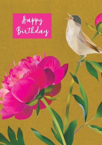 Notes & Queries Cards Peony Bird Birthday Greeting Card