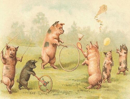 Notes & Queries Cards Piggy Party Blank Greeting Card