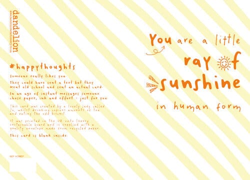 Notes & Queries Cards Ray Sunshine Friendship Greeting Card