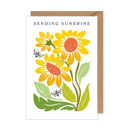 Notes & Queries Cards Sending Sunshine Friendship Greeting Card