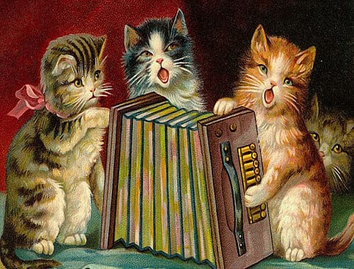 Notes & Queries Cards Singing Kittens Blank Greeting Card