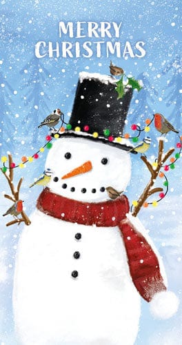Notes & Queries Cards Snowy Friends Money Wallet Christmas Card