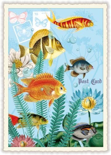 Notes & Queries Cards Tropical Fish Blank Postcard