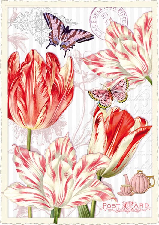 Notes & Queries Cards Tulip & Butterfly Blank Postcard