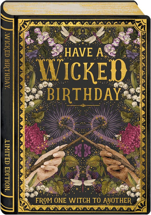 Notes & Queries Cards Wicked Bday Birthday Greeting Card
