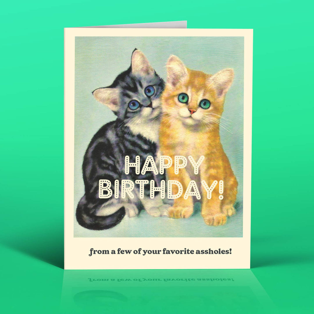 OffensiveDelightful Card Asshole Cats Birthday Card