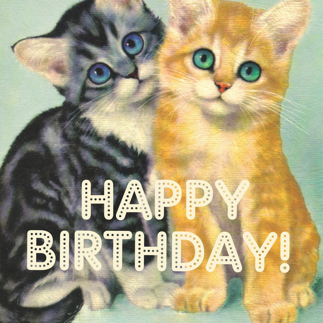 OffensiveDelightful Card Asshole Cats Birthday Card