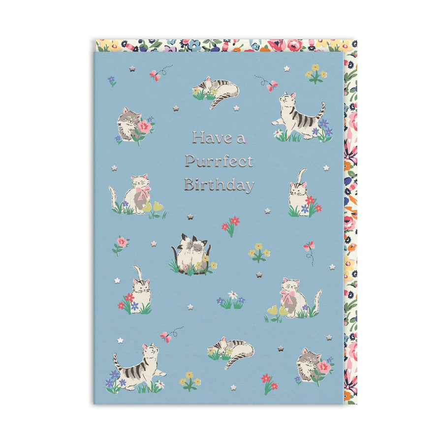 Ohh Deer Greeting Card Purrfect Kittens Birthday Card