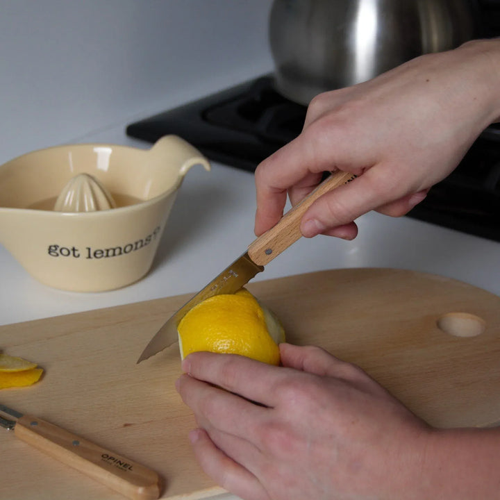 Opinel Home Les Essentiels Small Kitchen Knife Set "Natural" | Opinel