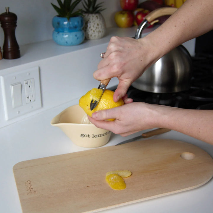 Opinel Home Les Essentiels Small Kitchen Knife Set "Natural" | Opinel
