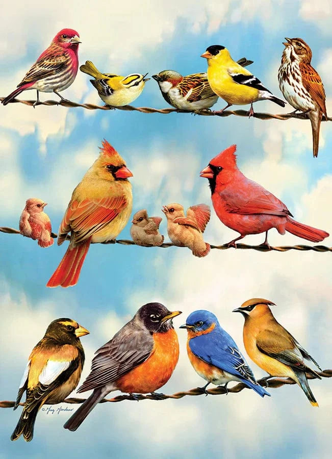 Outset Media Puzzle Birds on a Wire Puzzle - 500 Piece | Cobble Hill